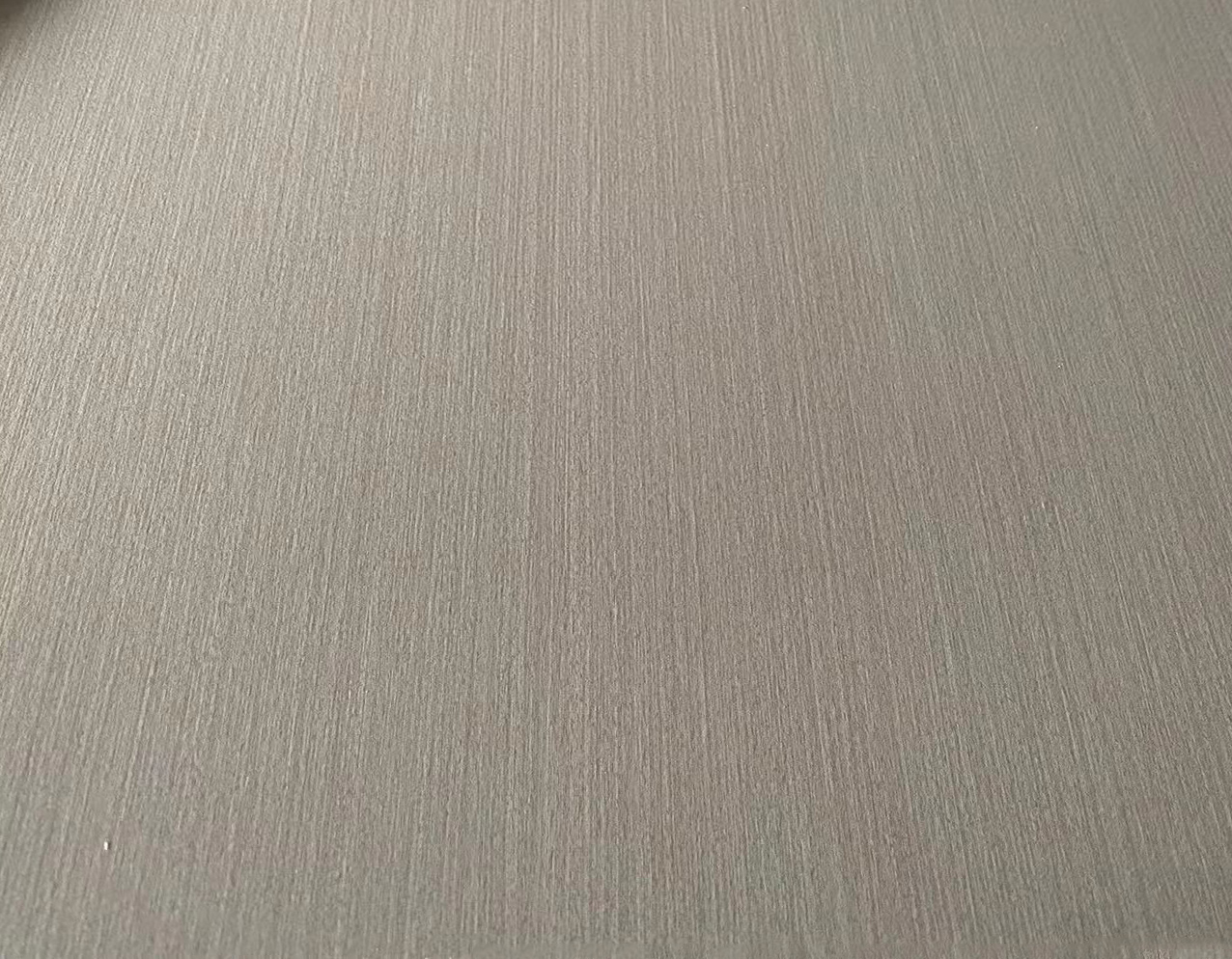 發(fā)財(cái)樹